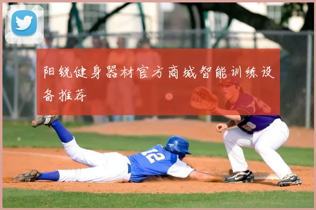 阳锐健身器材官方商城智能训练设备推荐