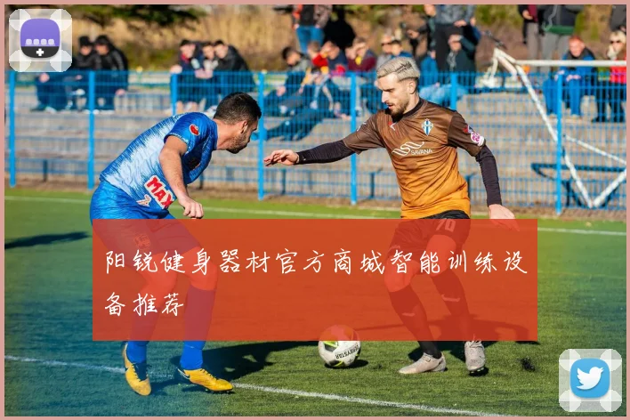 阳锐健身器材官方商城智能训练设备推荐